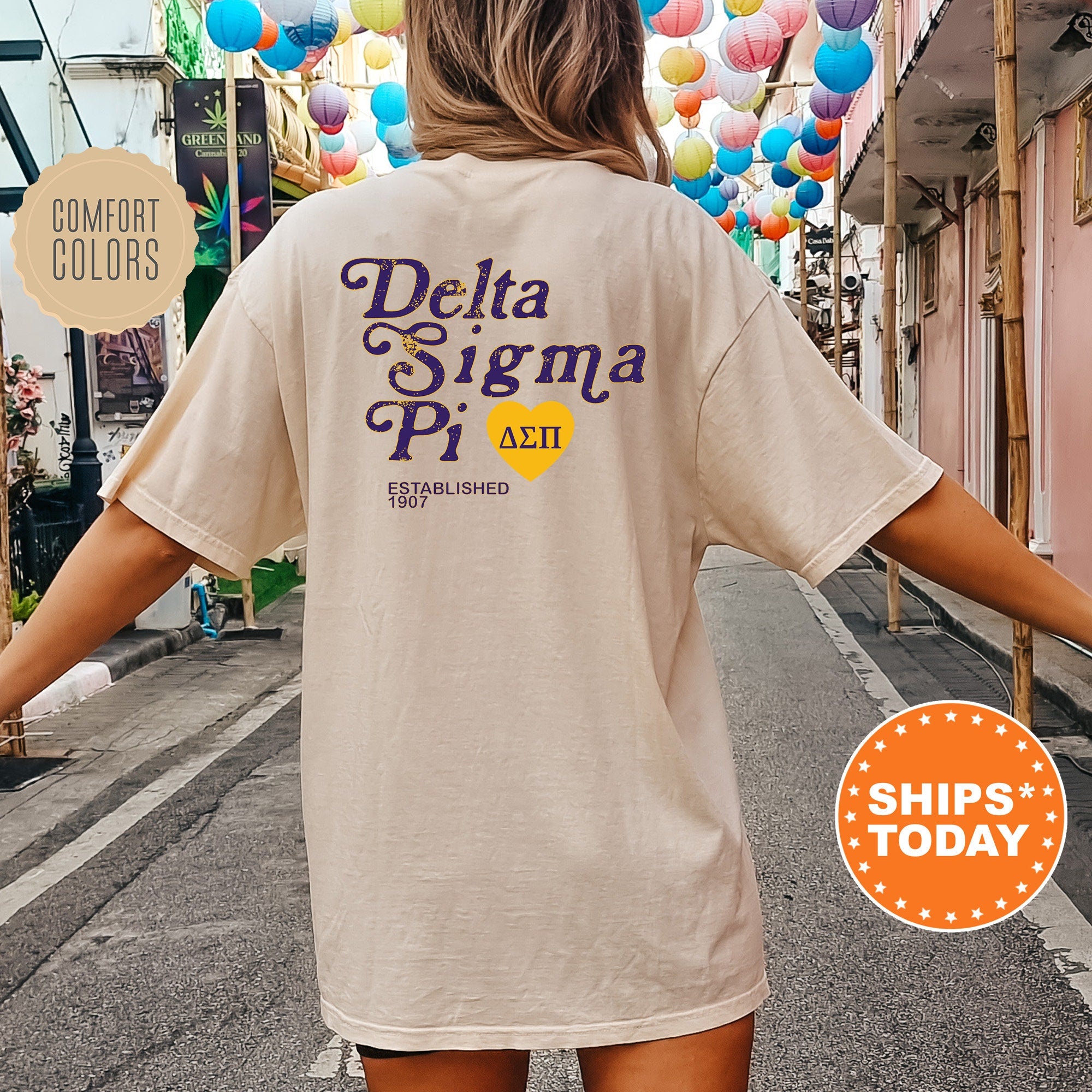 Delta Sigma Pi Heartmark COED T Shirt Delta Sigma Pi Comfort Colors Shirt COED Fraternity Gift Greek Life Apparel 15402g