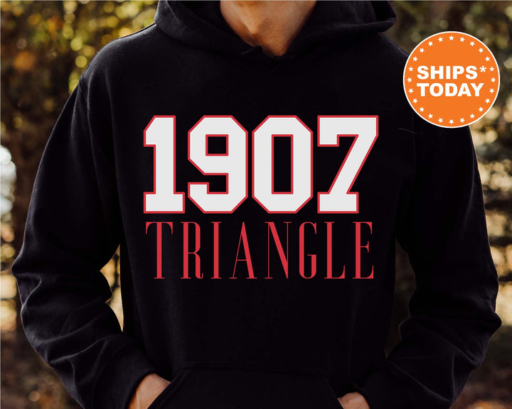 Triangle Greek Bond Fraternity Sweatshirt | Triangle Sweatshirt | Fraternity Gift | Greek Letters | College Crewneck | Bid day _  15569g