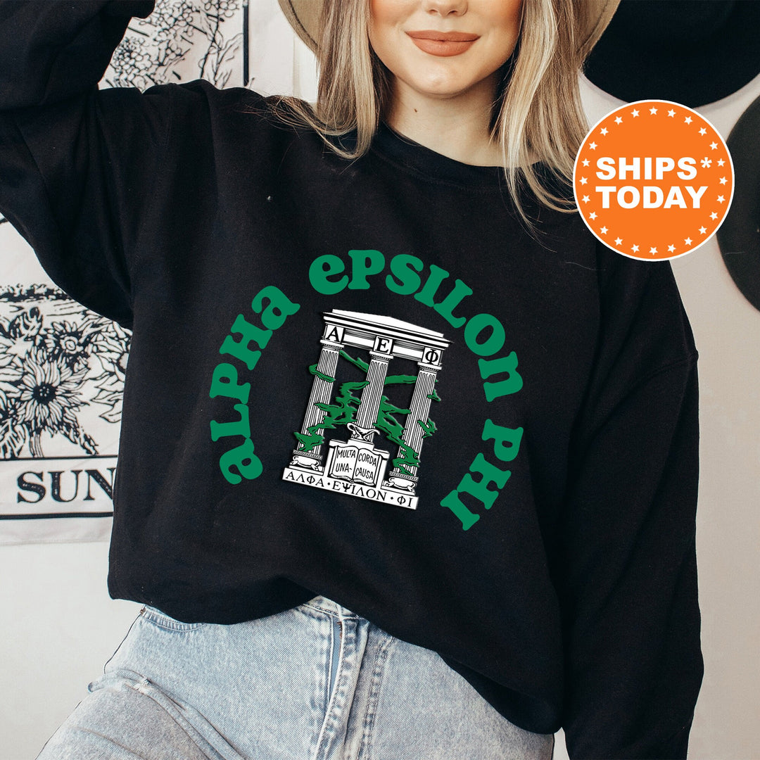 Alpha Epsilon Phi Crest Legacy Sorority Sweatshirt | AEPHI Crest Sweatshirt | Big Little Sorority Gift | College Greek Apparel