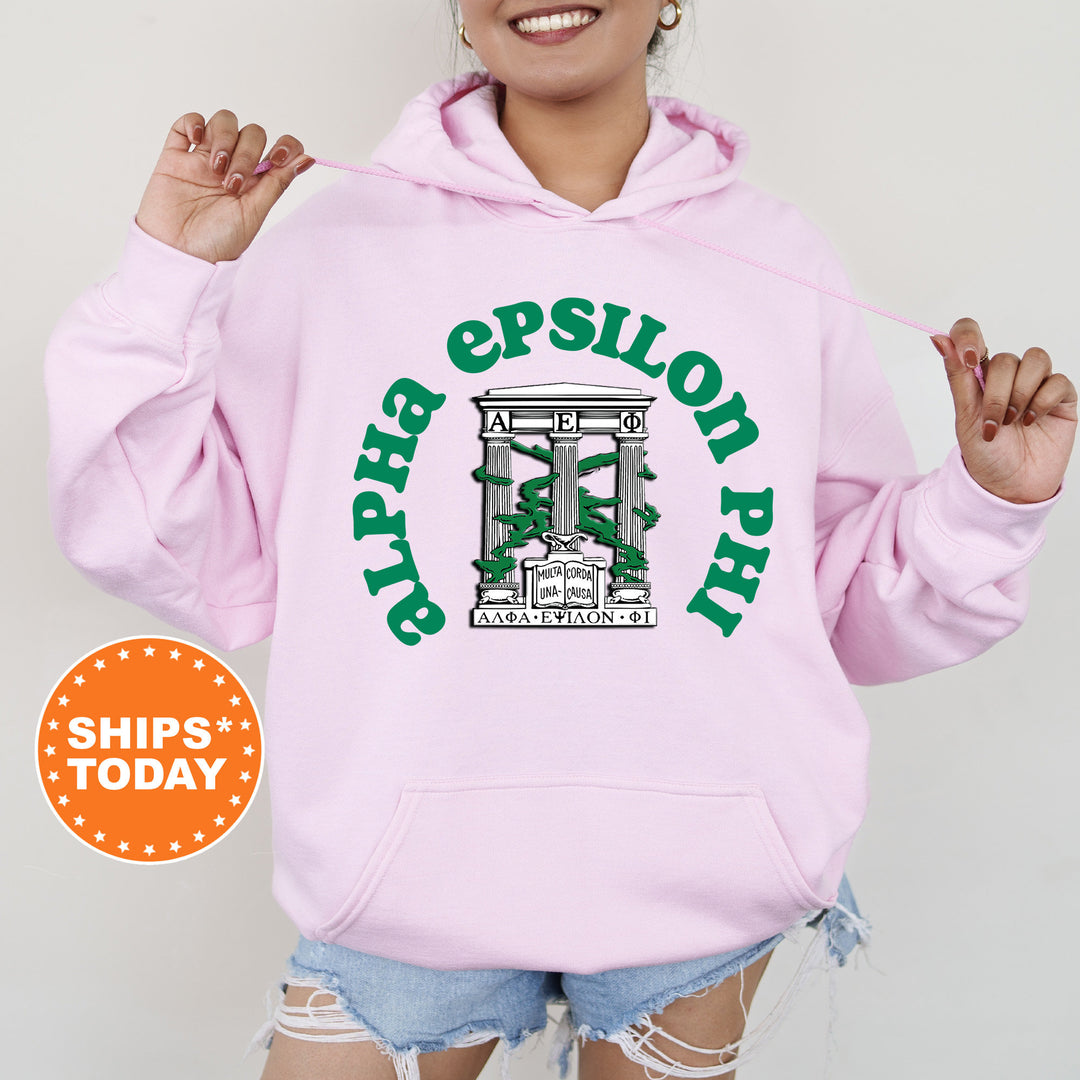 Alpha Epsilon Phi Crest Legacy Sorority Sweatshirt | AEPHI Crest Sweatshirt | Big Little Sorority Gift | College Greek Apparel