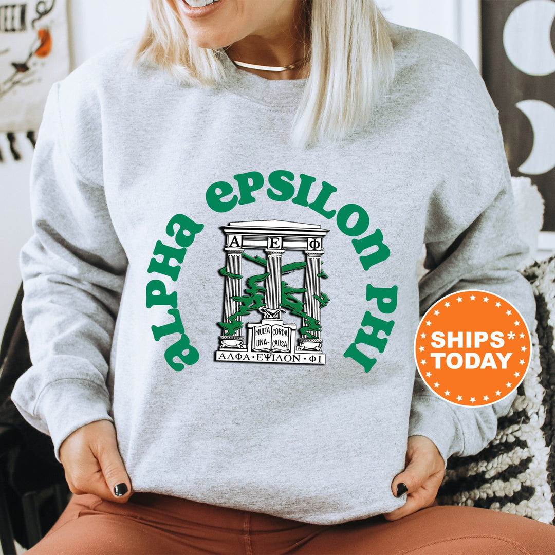 Alpha Epsilon Phi Crest Legacy Sorority Sweatshirt | AEPHI Crest Sweatshirt | Big Little Sorority Gift | College Greek Apparel