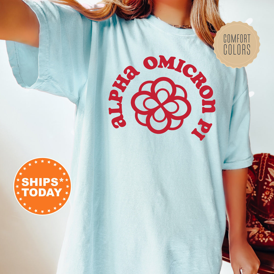 Alpha Omicron Pi Crest Legacy Sorority T-Shirt | Alpha O Crest Shirt | Big Little Reveal Gift | Sorority Merch | Comfort Colors Tee _ 17339g