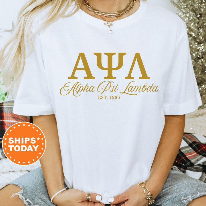 Alpha Psi Lambda Letter Unity COED T-Shirt | Alpha Psi Lambda Greek Letters Shirt | COED Fraternity Gift | Comfort Colors Shirt _ 15368g