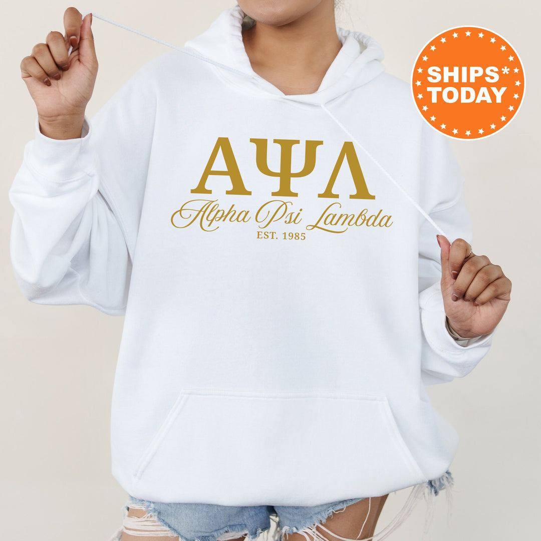 Alpha Psi Lambda Letter Unity COED Sweatshirt | Alpha Psi Lambda Greek Letters Sweatshirt | COED Fraternity Gift | Greek Apparel _ 15368g