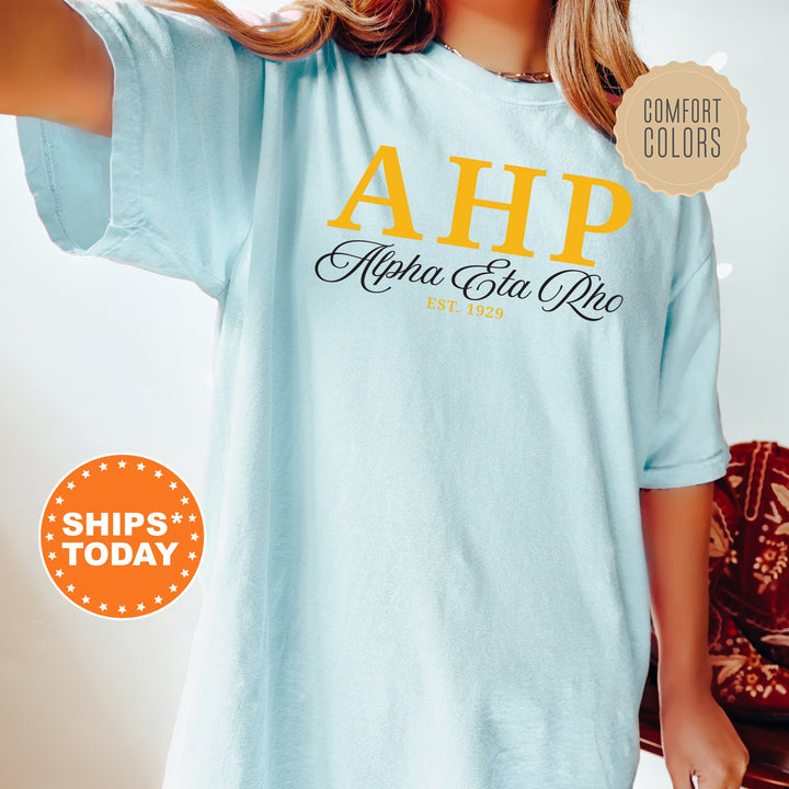Alpha Eta Rho Letter Unity COED T-Shirt | Alpha Eta Rho Greek Letters Shirt | COED Fraternity Gift | Comfort Colors Shirt _ 15365g