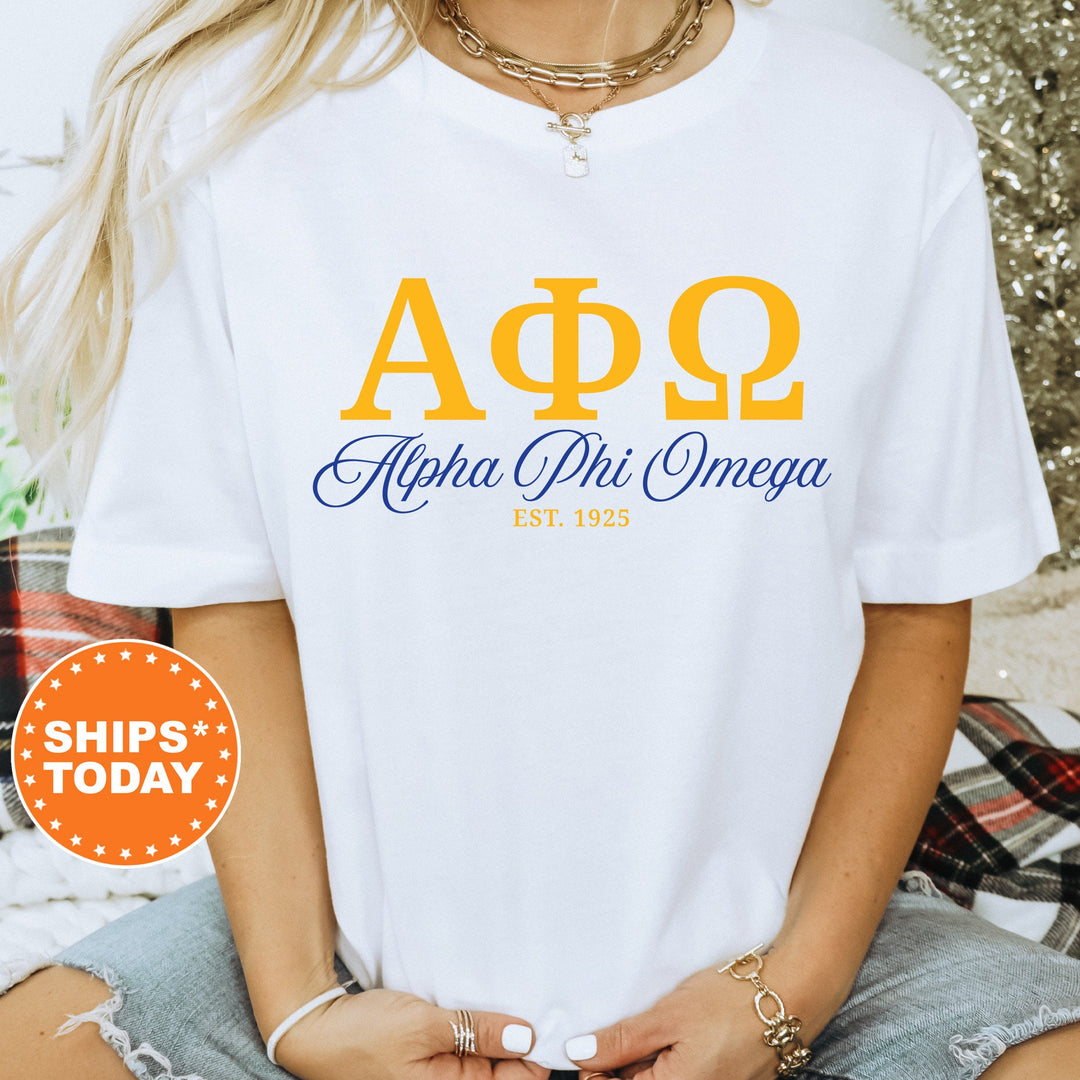 Alpha Phi Omega Letter Unity COED T-Shirt | Alpha Phi Omega Greek Letters Shirt | APHIO COED Fraternity Gift | Comfort Colors Shirt _ 15367g