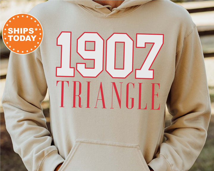 Triangle Greek Bond Fraternity Sweatshirt | Triangle Sweatshirt | Fraternity Gift | Greek Letters | College Crewneck | Bid day _  15569g