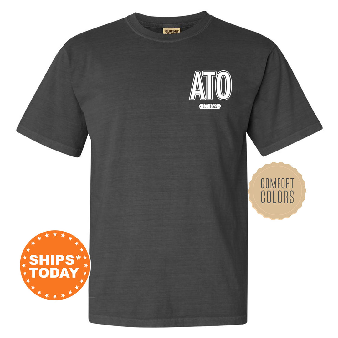 Alpha Tau Omega Snow Year Fraternity T-Shirt | ATO Left Chest Graphic Tee Shirt | Comfort Colors Shirt | Fraternity Bid Day Gift _ 17875g