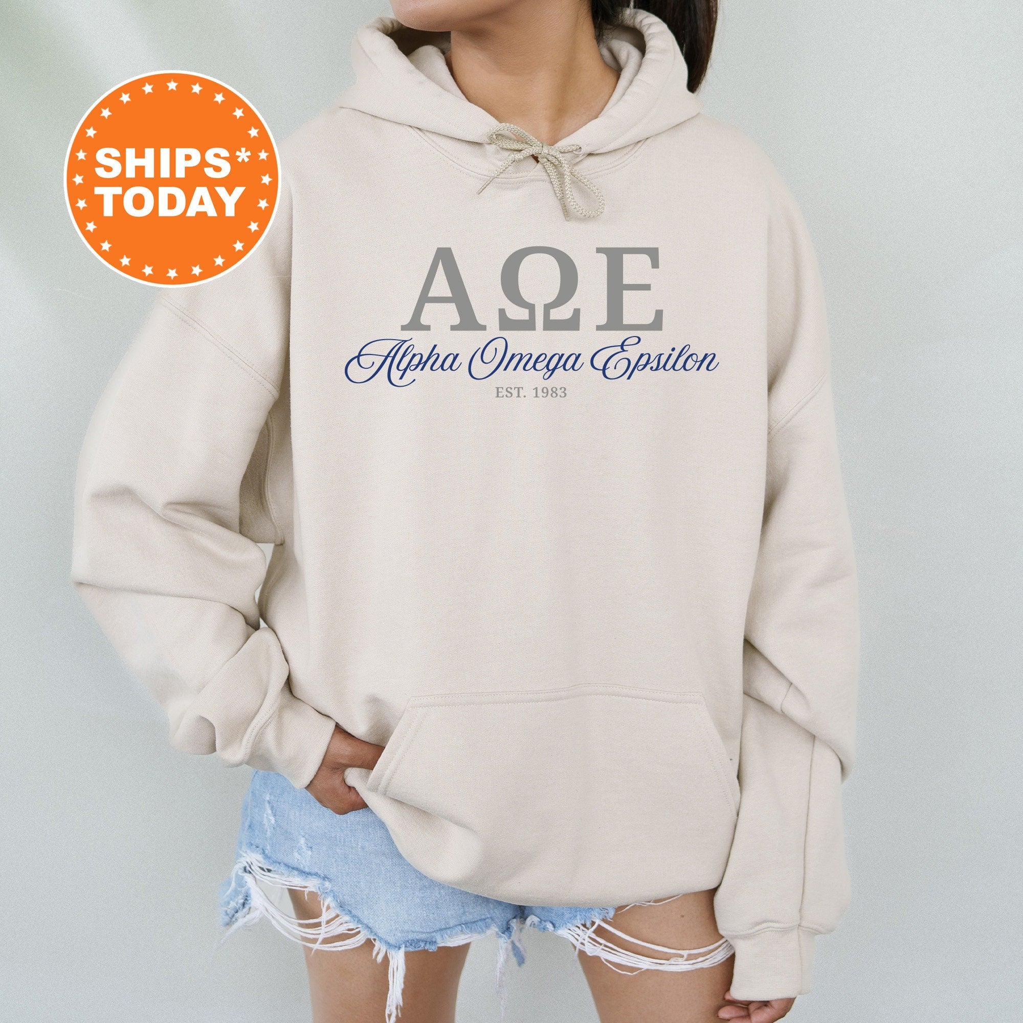 Alpha Omega Epsilon Script Sisters Sorority Sweatshirt Alpha Omega Epsilon Sweatshirt Greek Letters Crewneck Greek Sweatshirt 14818g