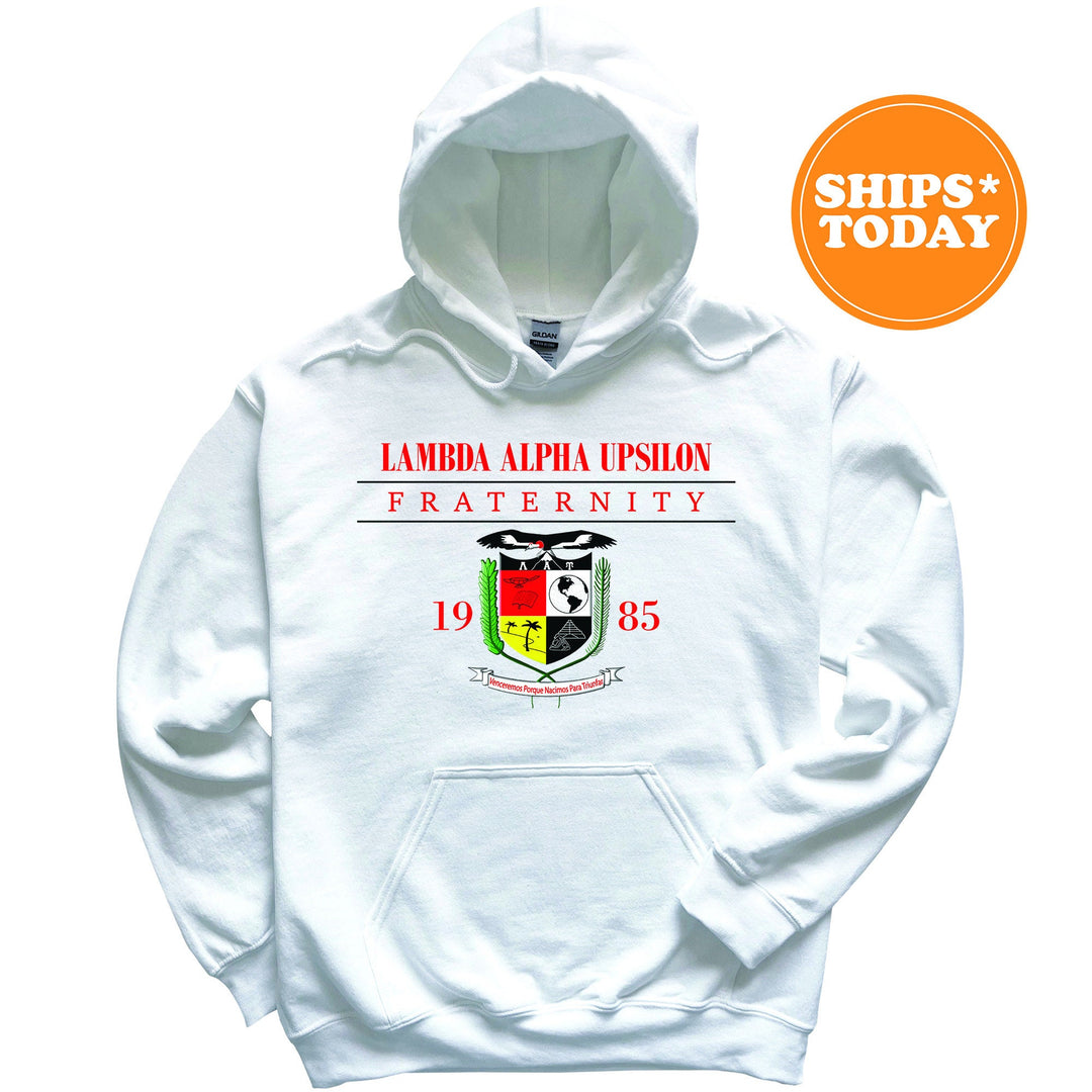 a white hoodie with a picture of a soccer ball on it