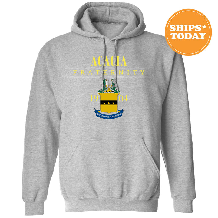 a grey hoodie with the swedish flag on it